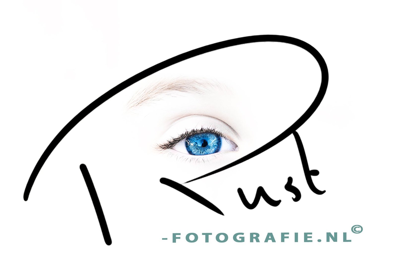 Website logo blauw